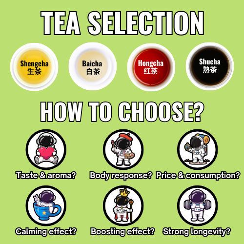 TEA in general - EN